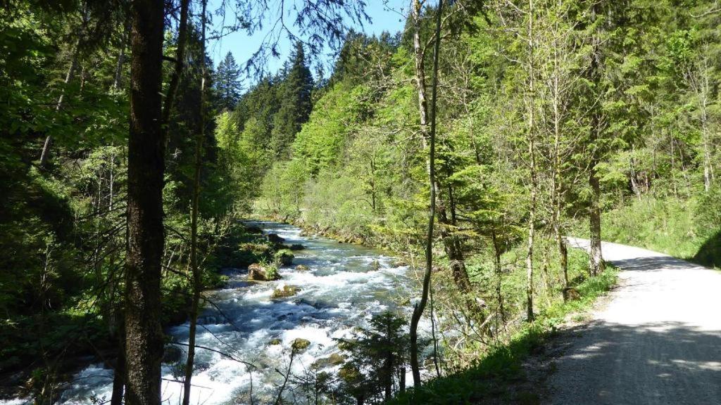 Fw Weissensee 44 Füssen Eksteriør billede
