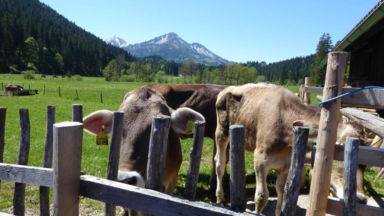 Fw Weissensee 44 Füssen Eksteriør billede
