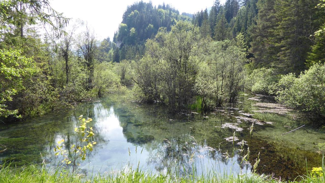 Fw Weissensee 44 Füssen Eksteriør billede