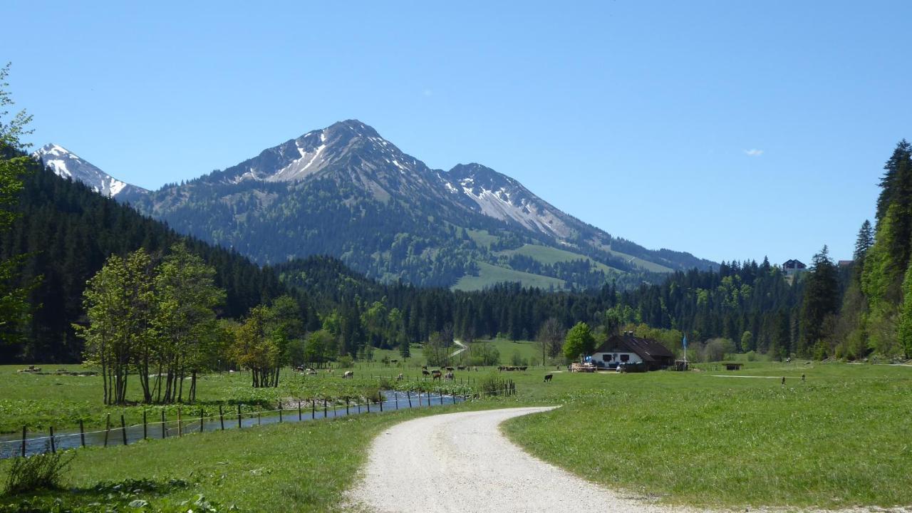 Fw Weissensee 44 Füssen Eksteriør billede