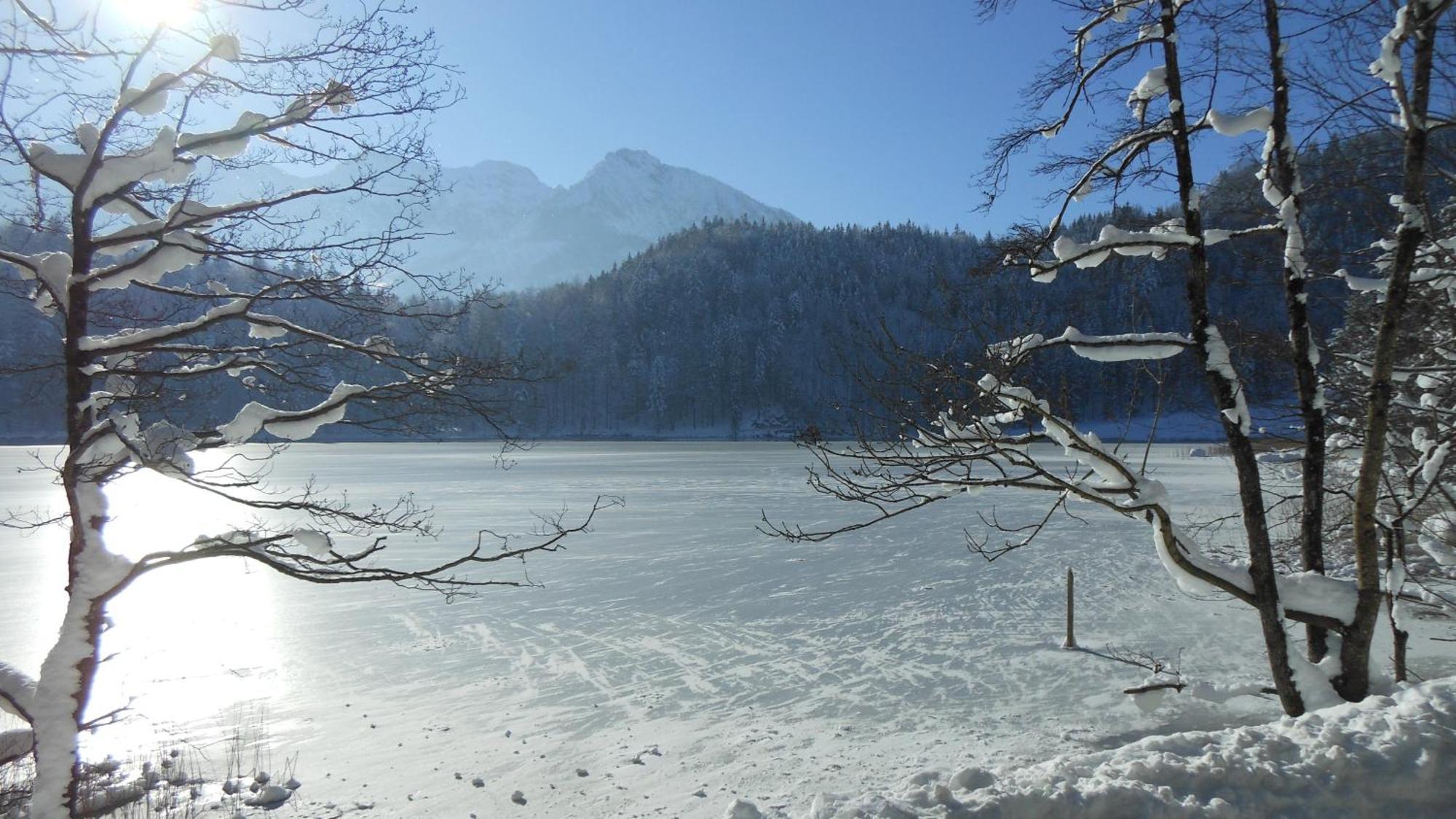Fw Weissensee 44 Füssen Eksteriør billede